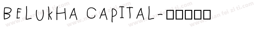 Belukha Capital字体转换